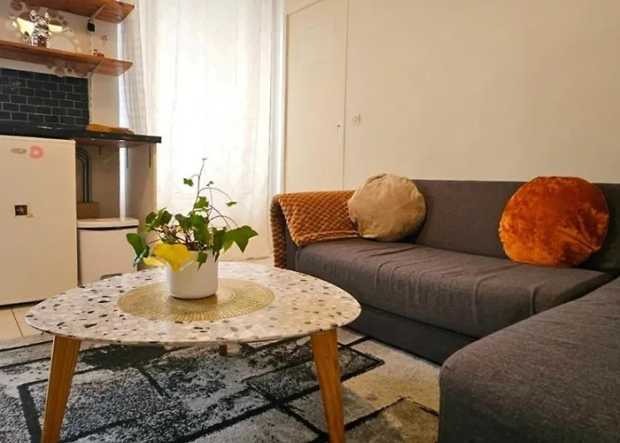 Appartamento Jolie Au Centre De